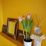 Matrix Garden Apartments Apartment *