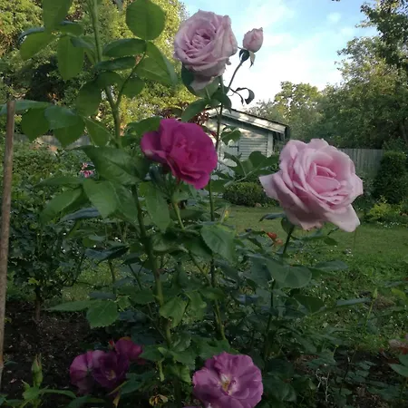 Apartman Matrix Garden Apartments