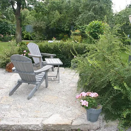 Matrix Garden * Tallin