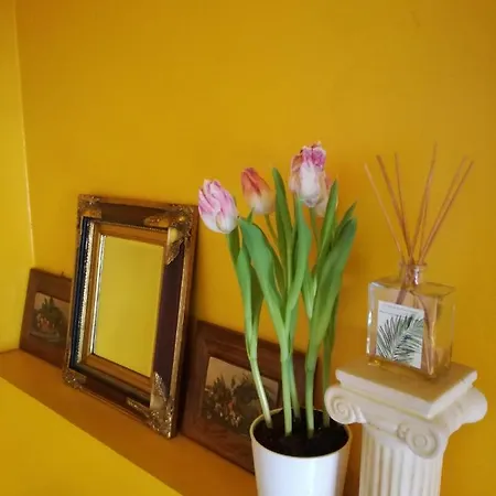 Matrix Garden 아파트 *