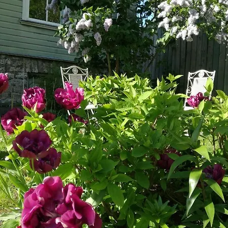 Matrix Garden * 탈린