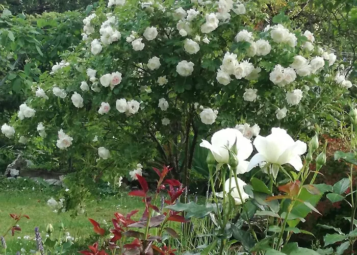 アパート Matrix Garden タリン