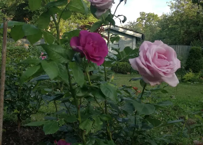 Apartmán Matrix Garden