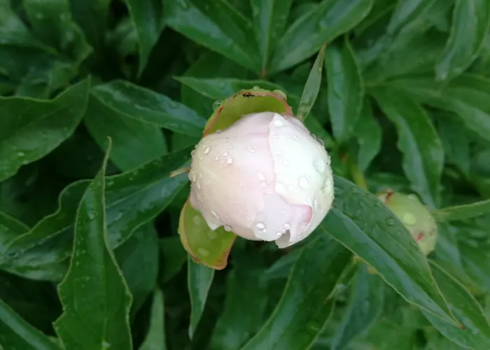 アパート Matrix Garden *