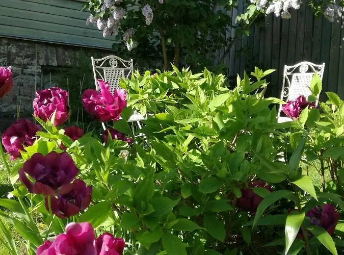 Matrix Garden * タリン