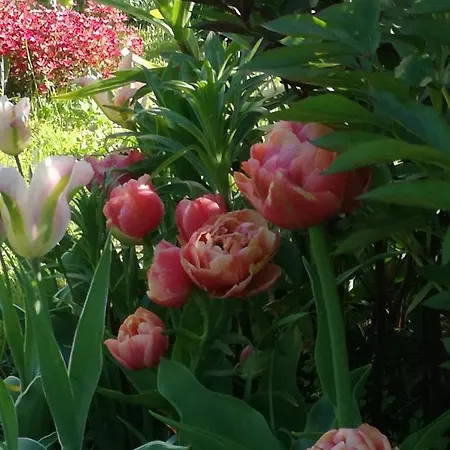 アパート Matrix Garden